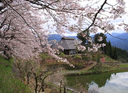 立石地区の景観