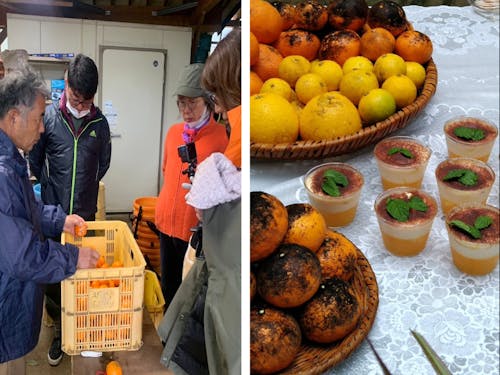 右:農作業のお手伝い(選別)と左:加工品試作