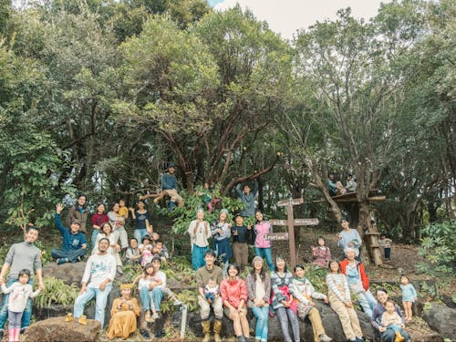 緑と人がたくさん「屋久島サウスビレッジ」