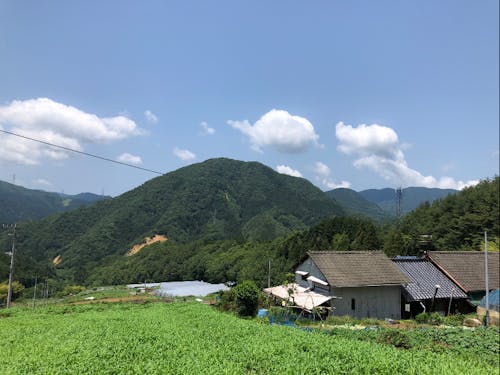 海だけでなく山里の暮らしも魅力的