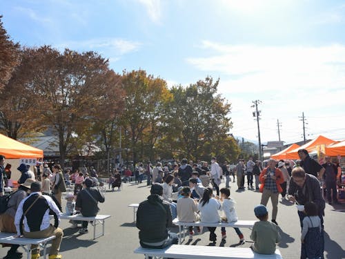 長谷の「食」をご堪能ください!