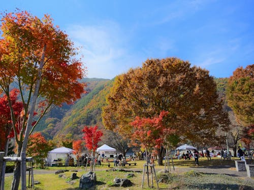3つのエリアで長谷の食、体験を楽しむ、グルメを堪能しよう!