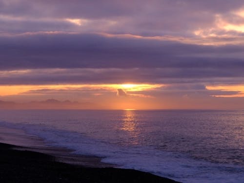 心癒される小田原の海