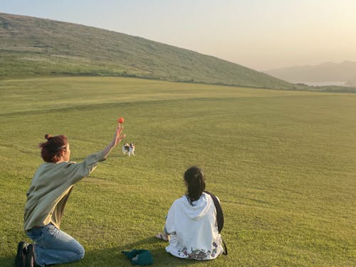 ふと疲れた時は休憩しに車で10分の山へ。