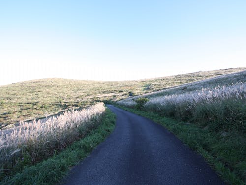 【西予市】四国カルスト大野ヶ原