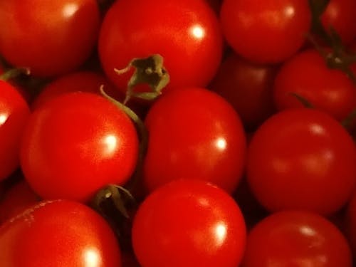 カツオはもちろん、野菜もおいしい!