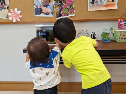 事前にアポイントを取って保育園見学もご案内しております