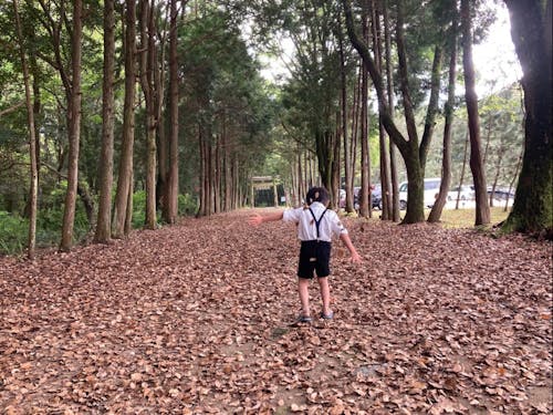 落ち葉のじゅうたん。ここは実は神社の参道。町民のパワースポット