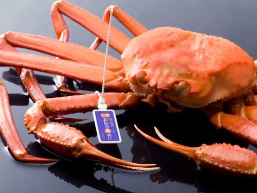 富山のカニ