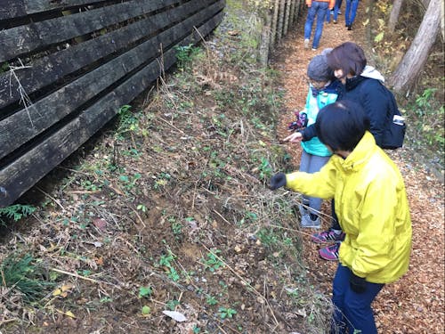 「奥多摩森林セラピーロードガイドツアー」の様子
