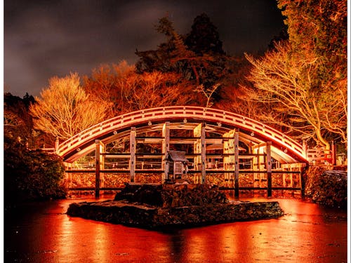 地域の魅力写真📸丹生都比売神社