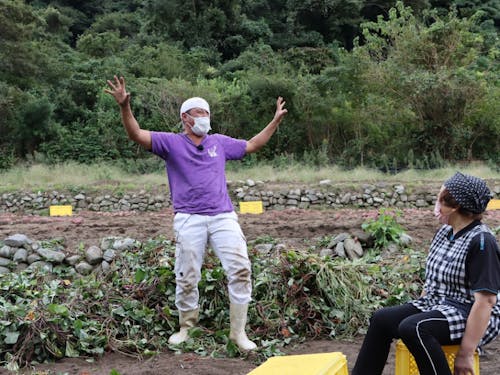 さつま芋収穫の風景
