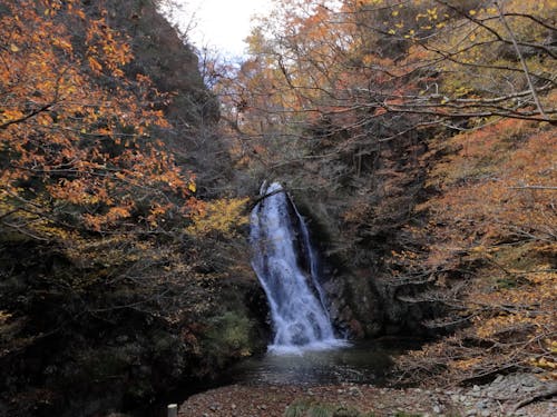 自然の音と秋の風情を感じられる行司ヶ滝