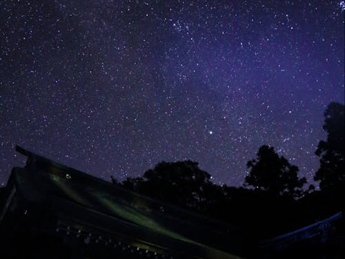 狭野神社の星空
