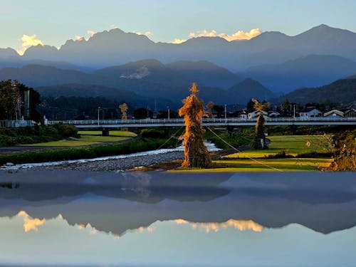 夏の風物詩 剱岳とニオトンボ