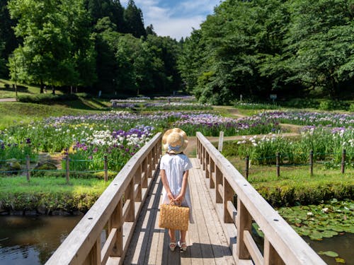 自然の中で子供をのびのび育てる