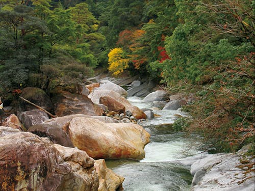 祝子川渓谷ではキャンプも楽しめます!