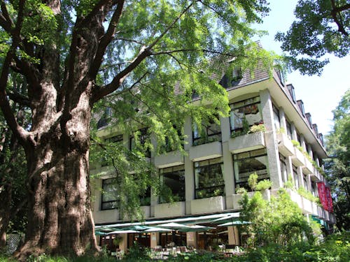 日比谷松本楼と伊那市、様々なご縁を育んでいます