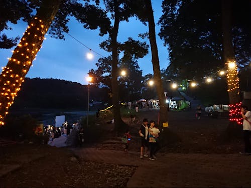 夏の夜、河原で実施したマルシェ＆映画