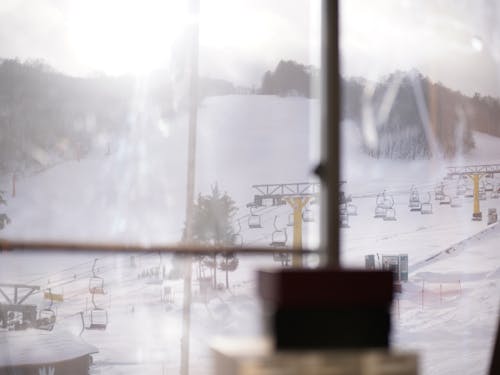 日常的に出会う四季折々の美しさ