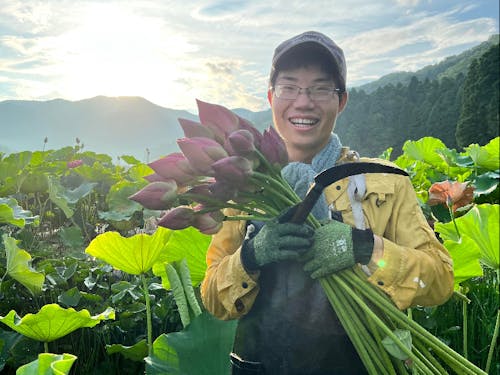 地方移住9年目。複業の一コマ(花ハス収穫)