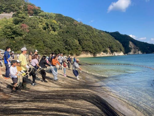 地曳き網体験