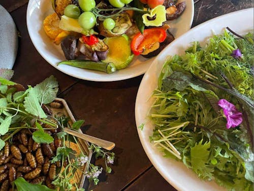 自然由来の環境負荷の少ない食文化を伝えています