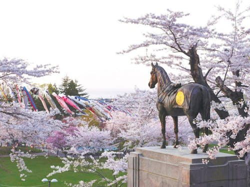 愛宕公園と花鳥号銅像