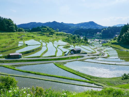 山間部の美しい風景もすぐそばに🌾
