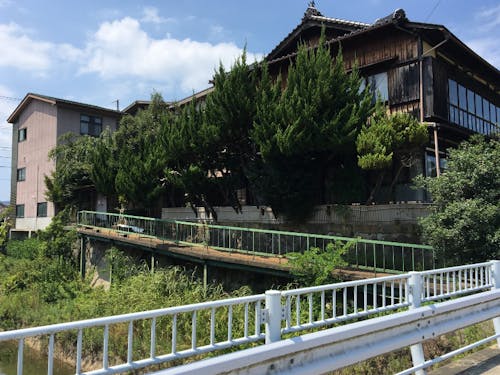 建物後ろ側からの写真。大御所の会合にも使われていたので目隠し用の木が