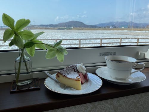 カフェの窓から見える放牧地には時々馬の姿も!