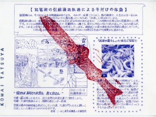 「湖魚とクロモカードセット その壱【氷魚】(裏)」/松元悠/2022.