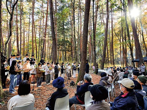 鳥のさえずりの中で森のコンサート