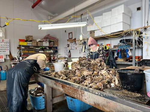 水産会社の様子