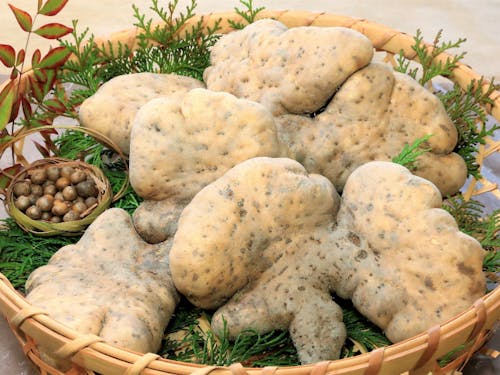 「山のうなぎ」とも呼ばれるやまのいも