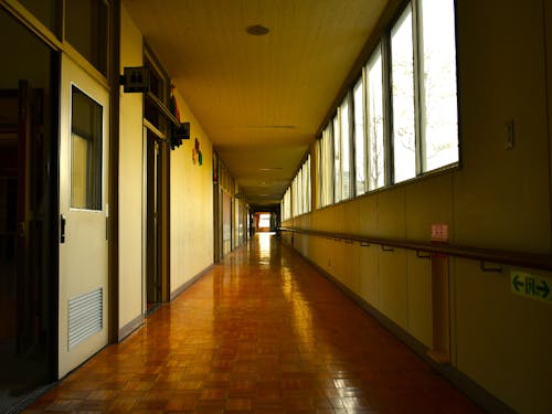 廃校から3年、利活用事業者が徐々に決まりつつある