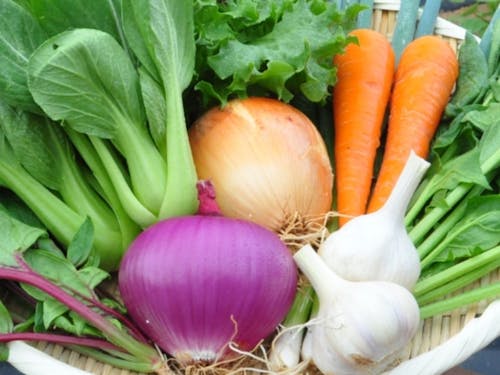 色どり鮮やかで丹精込めて作られるお野菜