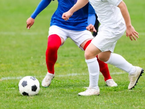 メジャースポーツ以外でも、これで盛り上げたい!というアイデア募集