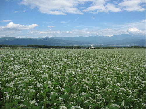 農ある暮らし、農地の借り方など、知りたいことなんでも聞いてください!