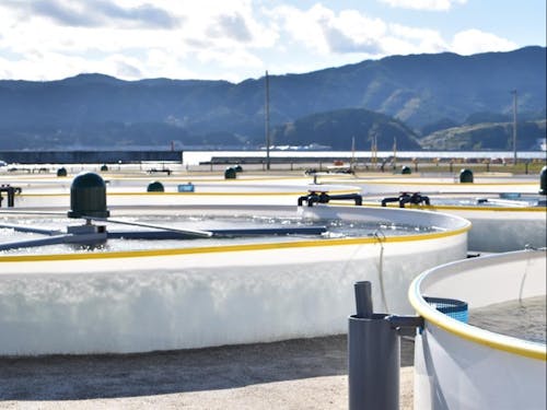 陸上養殖施設イメージ