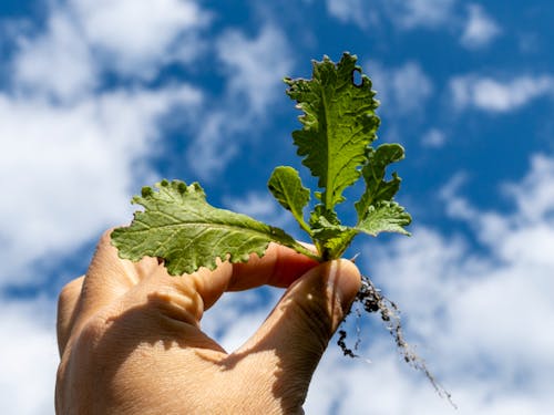 自然を感じながら