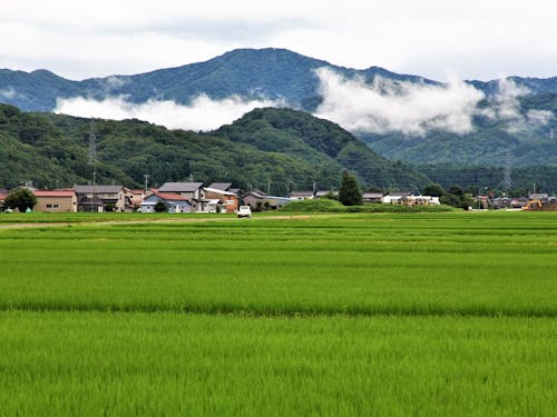 温泉地から車を5~10分走らせると里山を眺められる