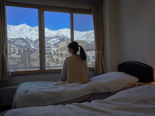 客室からの景色