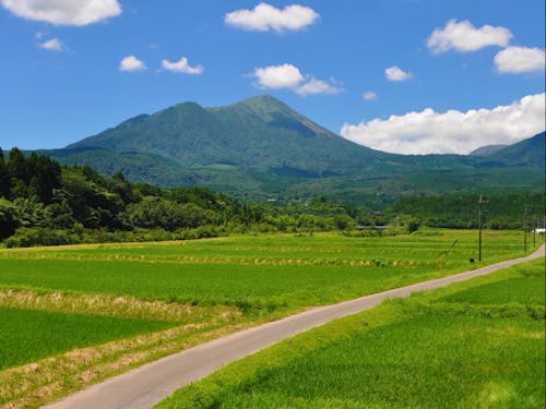 水田からの高千穂峰