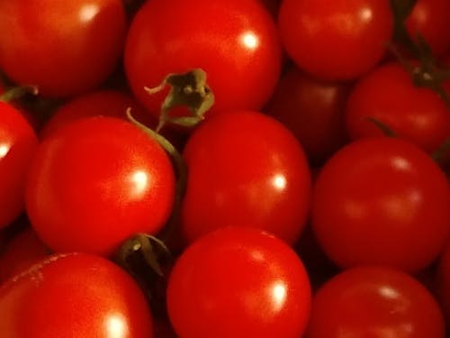 カツオはもちろん、野菜もおいしい!