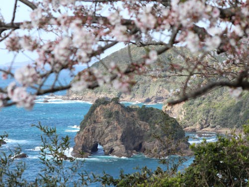 妙見浦のぞうさん岩