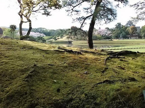 肥沃な土壌の上に成り立つ「スマートシティ○○」構想イメージ図