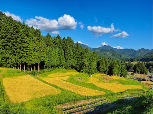 まちなかと自然豊かなエリアの距離が近い！