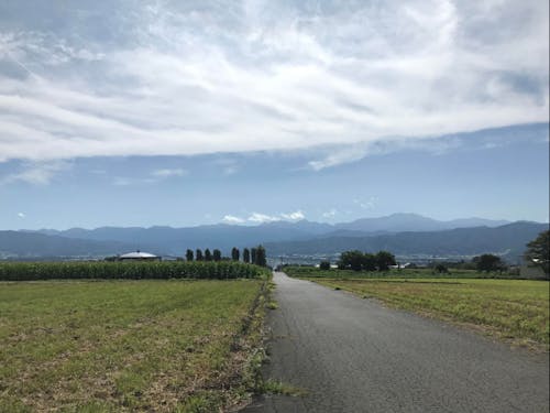 中学の部活動の地域移行も推進してください