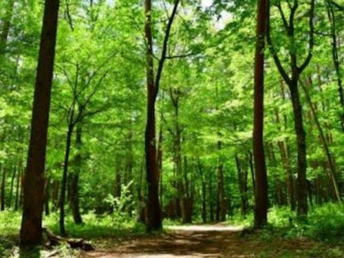 伊那市の82%が森林